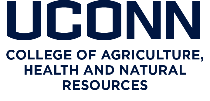 UCONN Logo